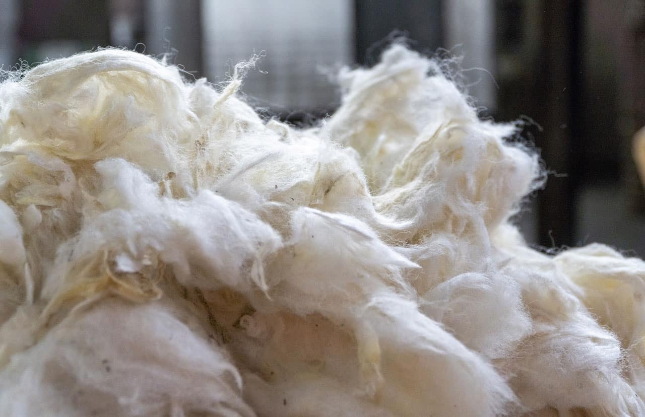 New Zealand Wool